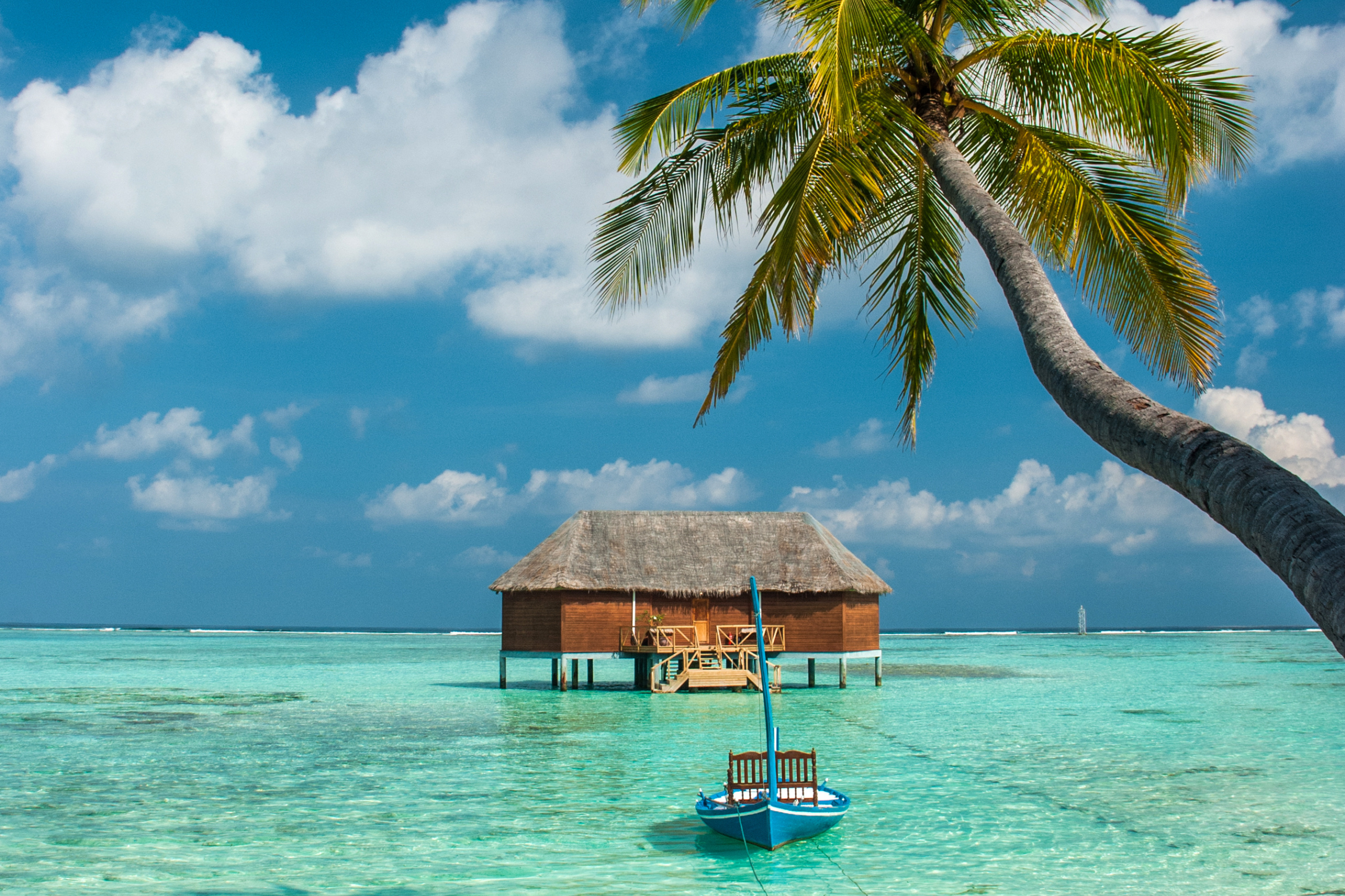 mbili island (3).webp